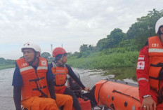 Terjatuh dari Jembatan, Yanto Diseret Arus  Sungai Sematang Borang : Berikut Kronologi Lengkapnya !    