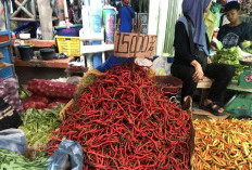 Harga Cabai Merah di Kota Palembang Tembus hingga Rp100.000 per Kilogram
