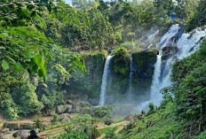 Pesona Air Terjun Curup Gangsa, Surga Tersembunyi di Way Kanan Lampung