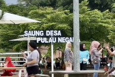 Saung Desa Pulau Negara : Destinasi Wisata Baru di Ogan Ilir yang Menawan 