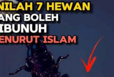 Apa Salahnya?  7 Hewan yang Boleh Dibunuh Menurut Islam