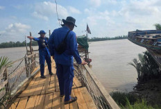 Hendak Perbaiki Perahu, Warga Banyuasin Diterkam Buaya  
