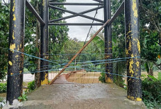 Warga Berharap Jembatan Gantung Desa Karang Agung Segera Diperbaiki