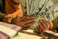 Update ! Kurs Rupiah 28 Oktober 2024 : Terus Melemah 72 Poin Menjadi Rp15.719 per Dolar AS  