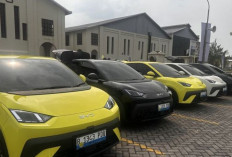 Teknologi Blade Battery dan Harga Kompetitif: Antar BYD Jadi Raja EV di Indonesia 2025 !