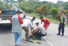 Motor Dilindas Tronton, PNS Muaraenim Tewas Tragis 