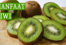 Buah Kiwi: Si Kecil Kaya Nutrisi yang Menyehatkan Tubuh