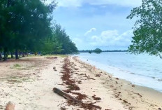 Sunset dan Kuliner Khas: Menjadi Daya Tarik Pantai di Bangka Belitung Ini!