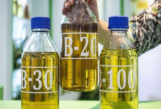 Harga Biodiesel Oktober 2024 Resmi Naik : ESDM Tetapkan Rp12.633 per Liter !