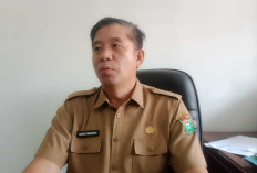 Perintahkan PT TBBE Ganti Rugi Tanam Tumbuh dan Pembersihan Lahan