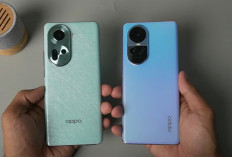 Membandingkan Hasil Kamera Oppo Reno 10 5G Vs Reno 11 5G : Mana yang Terbaik ?