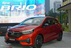 Brio Masih Jawara ! Penjualan Honda Tembus 4.740 Unit pada Mei 2025
