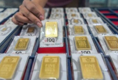 Update ! Harga Emas Antam 26 November 2024 : Merosot Tajam Rp40.000 Menjadi Rp1,499 Juta per Gram 