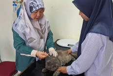 Selama Ramadan 1447 H, Puskeswan Prabumulih Tetap Buka Layani Pemeriksaan Kesehatan Hewan