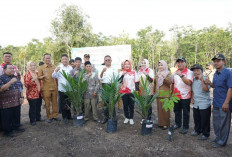 Pemkot Prabumulih Salurkan Bantuan Ribuan Batang Bibit Sawit dan Karet 
