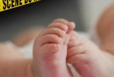Bayi Perempuan Ditemukan Dalam Kardus: Begini Isi Surat Wasiat yang Ditinggalkan Ibu Bayi