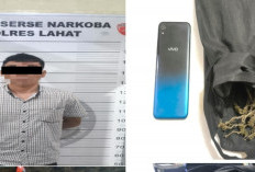 Polres Lahat Bekuk Pengedar Ganja 80 Gram di Lahat Selatan, Motor Scoopy Ikut Disita