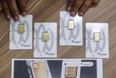 Harga Emas UBS, Galeri24, dan Antam 10 Agustus 2025: Antam Turun Tipis Menjadi Rp2,02 Juta per Gram !