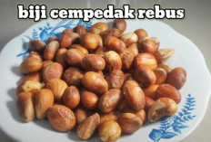 Biji Cempedak Rebus, Camilan Tradisional Bernutrisi yang Kian Diminati Masyarakat