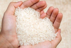 Jaga Kesehatan Otak dan Saraf dengan Beras Putih 