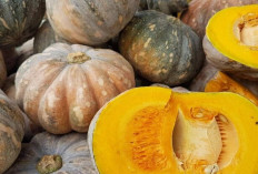 Obati Diabets dan Sehatkan Kulit dengan Biji Labu 