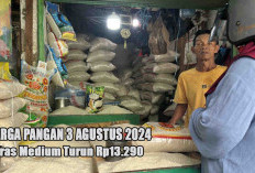 Harga Pangan 3  Agustus 2024 : Bawang Naik, Beras Medium Turun di Level Rp13.290 per Kg !