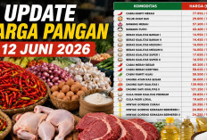 Update Harga Pangan 12 Juni 2026: Cabai Rawit Merah Tembus Rp77.950, Telur Ayam Ras Rp29.800 per Kilogram