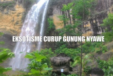 Eksotisme Curup Gunung Nyawe : Hidden Gem di Sumatera Selatan yang Membuat Anda Tertegun !