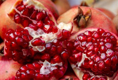 Jaga Kesehatan Gigi dan Mulut Anak dengan Buah Delima