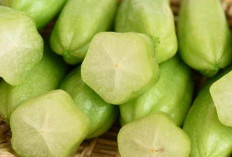 Belimbing Wuluh Buah Asam dengan Segudang Manfaat untuk Kesehatan dan Kehidupan Sehari-hari