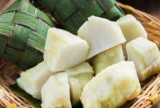 Ketupat Daun Pandan : Tradisi Kuliner Unik dengan Aroma Harum yang Menggoda