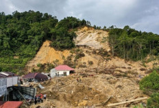 Bencana Banjir dan Longsor Sumatera: 914 Korban Jiwa, Penyelamatan, dan Penegakan Hukum Kerusakan Hutan