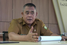 Investasi Sumsel Capai Rp26,39 Triliun Semester I