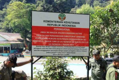 Ombudsman Sumbar Minta Tindak Tegas Bangunan Liar 
