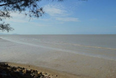 Pesona Eksotis Pantai Pasir Padi: Surga Liburan di Pulau Bangka Belitung