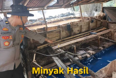 Polsek Keluang Gerebek Kilang Minyak Ilegal Berkapasitas 80 Drum, Tiga Pelaku Diamankan