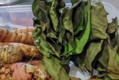 Jejak Rasa Nusantara Lewat Ragam Bumbu Dapur Tradisional