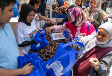 Diberdayakan BRI, Bisnis Klaster Petani Salak Ini Melejit!