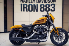 Harga Rp399 Juta: Ini Spesifikasi Lengkap Harley Iron 883 Terbaru !