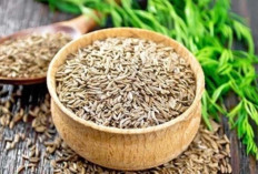 Obati dan Cegah Ambeien dengan Jintan Putih