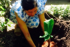 Cacingan Tak Hanya Anak-Anak, Dewasa Pun Rentan