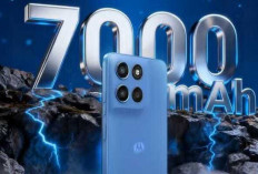 Rekomendasi HP 2 Jutaan Terbaik Awal 2026, Fitur Lengkap dan Performa Andal