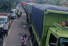 Polres OKU Kandangkan Puluhan Kendaraan ODOL