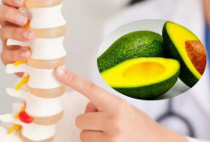 Strategi Pencegahan Osteoporosis dengan Pola Makan Seimbang dan Alpukat