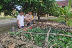 Polsek Rantau Alai Kembangkan Budidaya Ikan Patin untuk Dukung Ketahanan Pangan Nasional