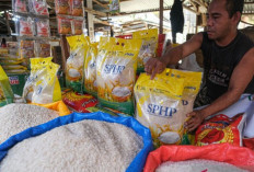 Babak Baru Program Beras SPHP