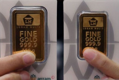 Perbandingan Harga Emas Antam, UBS, dan Galeri24 : Mana yang Lebih Menguntungkan ?