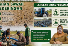 ‎Petani di OKUT Kesulitan Aliri Lahan Petanian, Dinas Pertanian Siap Bantu Sumur Bor dan Pompa ‎ ‎ ‎ ‎Martapur