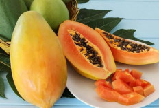 Manfaat Pepaya untuk Kecantikan Kulit dan Rambut