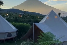 The Moby Park Wonosobo, Sensasi Glamping Nyaman dengan Panorama Tiga Gunung
